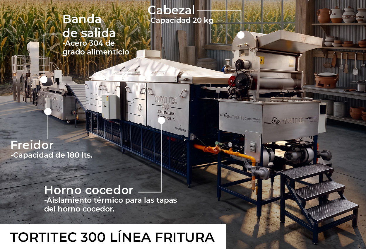 Infografía de la TT-300 línea fritura