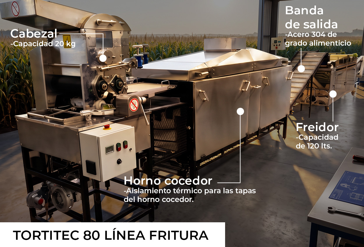 Infografía de la TT-150 línea fritura